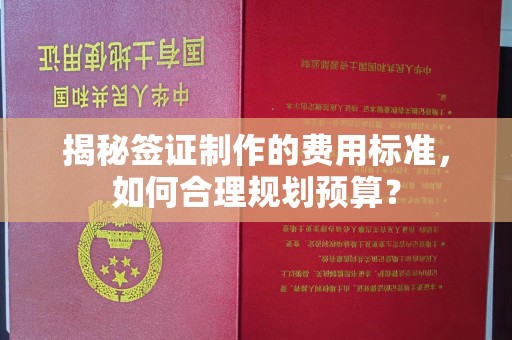 钢城揭秘签证制作的费用标准，如何合理规划预算？