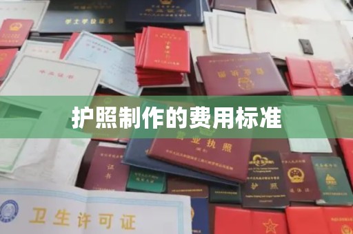 钢城护照制作的费用标准
